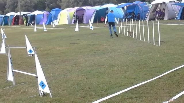 Axel agility blandat 2015(1) смотреть онлайн