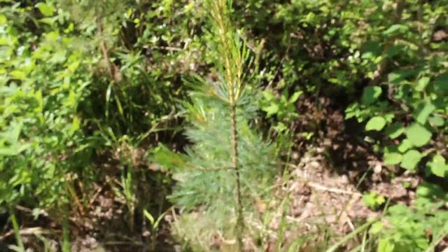 MVI 8630 смотреть онлайн