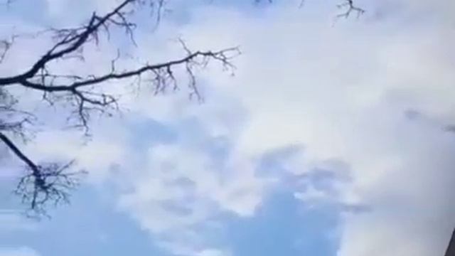 Натяжные потолок(14) смотреть онлайн