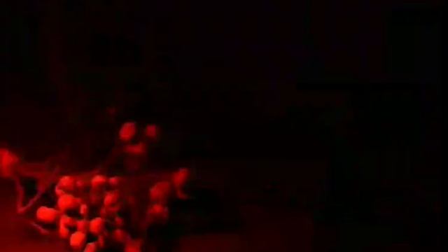 Свадебная Шкатулка l коробочка l подушечка для колец смотреть онлайн
