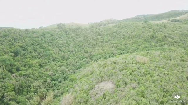 Antigua peaceful and bliss overlooking Breaknock, Mill Hill, and Sage Hill. смотреть онлайн