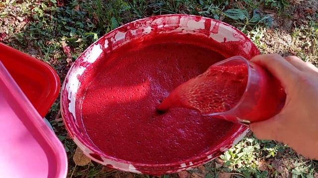 Gorenje Vitaway JC4800VWY sokovnik, cedjenje višanja. смотреть онлайн