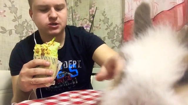 Вечерний Обжор/Обзор «шаверма номер 1(один)» правда ли номер1!Мукбанг eating slurp Mukbang.Shawarma смотреть онлайн