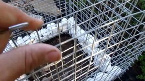 Габион своими руками/DIY Gabion