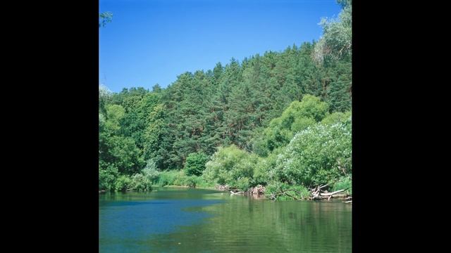 Fuji Velvia 50 (Hasselblad 500C) смотреть онлайн