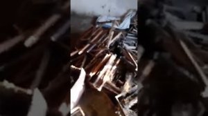 Восковая моль и  ее целебные свойства. Открытие необычных возможностей личинки восковой моли!