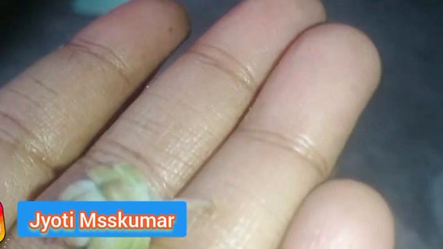 How To Grow n Care Echeveria Lotus/ propagate Succulent From Leaves echeveria Lotus/ echeveriaLotus смотреть онлайн