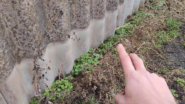 Забор для пасеки пока не разгатили?☝️ смотреть онлайн