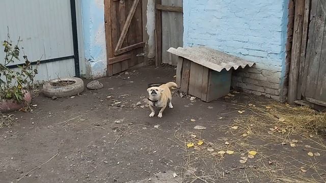 ОБОРУДОВАНИЕ  LIDER   TELEKOM. БЮДЖЕТНЫЙ ВАРИАНТ.