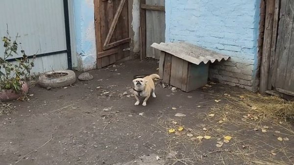 ОБОРУДОВАНИЕ  LIDER   TELEKOM. БЮДЖЕТНЫЙ ВАРИАНТ.