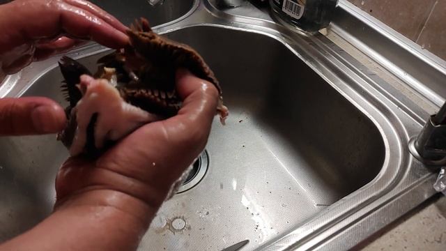 Сделай Сам для Духовного Развития