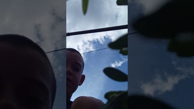 Уход за хаски смотреть онлайн