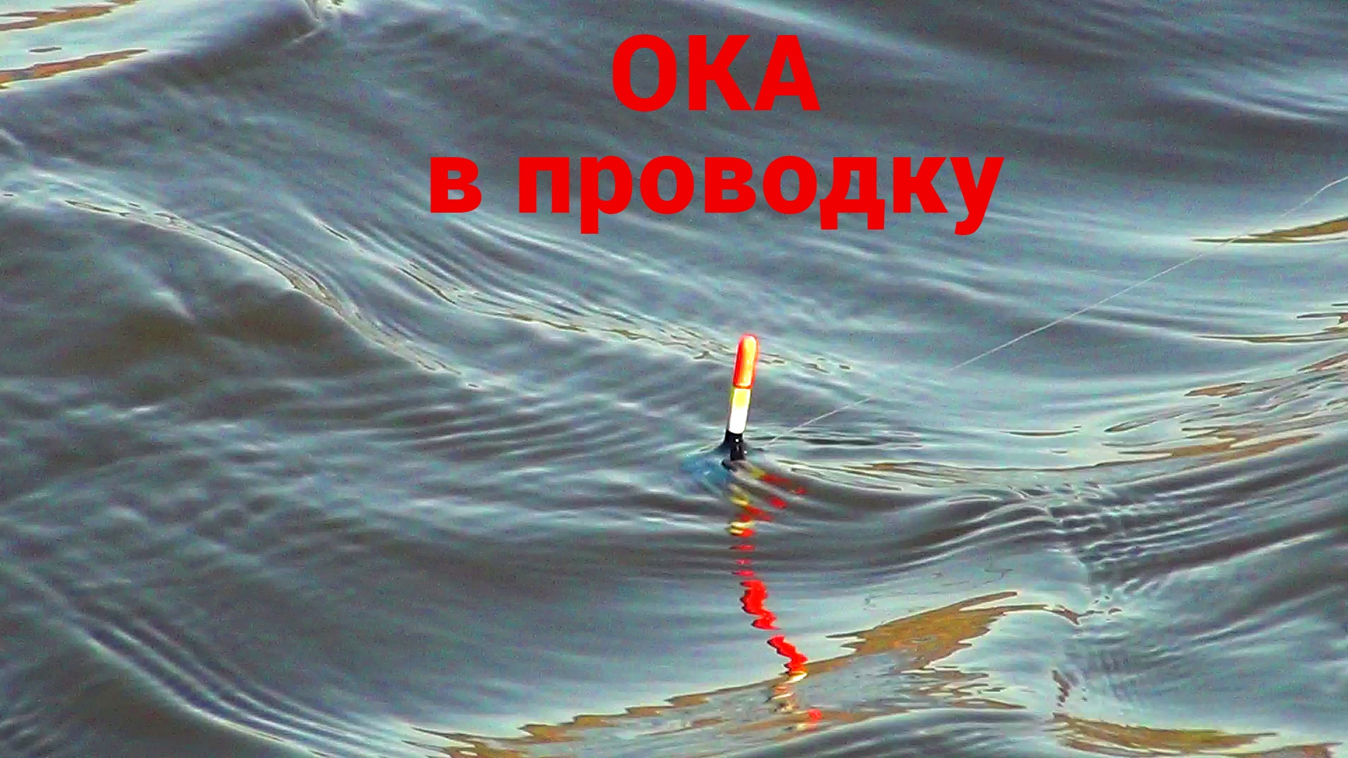 Рыбалка на ПОПЛАВОК. Сюрпризы на ОКЕ. Кто клюнет следующий. смотреть онлайн