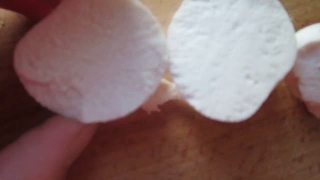 Домовладелец Профи