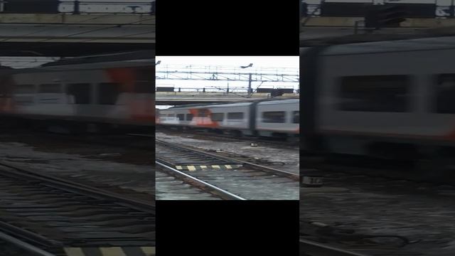 Поезд ласточка, прибывает на станцию.