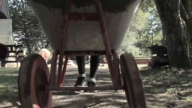СОКОЛ Детский и семейный лагерь - Лето 2021 смотреть онлайн