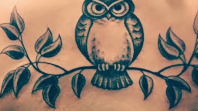 Летит сова смотреть онлайн