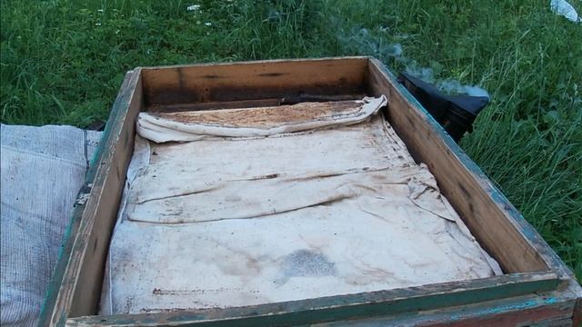 Пасека в лесу.Положение дел на 18 июня.Ставим магазины.Пчелы залили все медом. смотреть онлайн