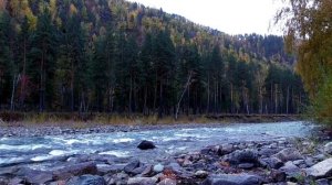 Восстановление плечевых суставов  Настрои Сытина Г.Н.