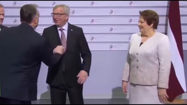 ПО ЛЯСУ смотреть онлайн