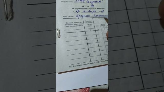 Повтор на тему Акт на оприходование приплода смотреть онлайн