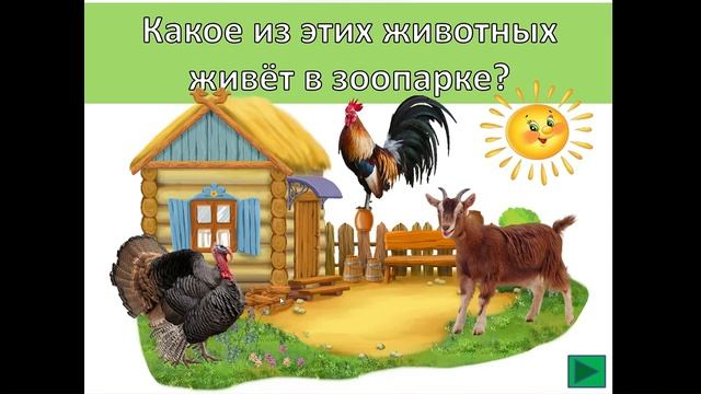 Познавательное видео про ЗООПАРК для детей дошкольного возраста..mp4 смотреть онлайн