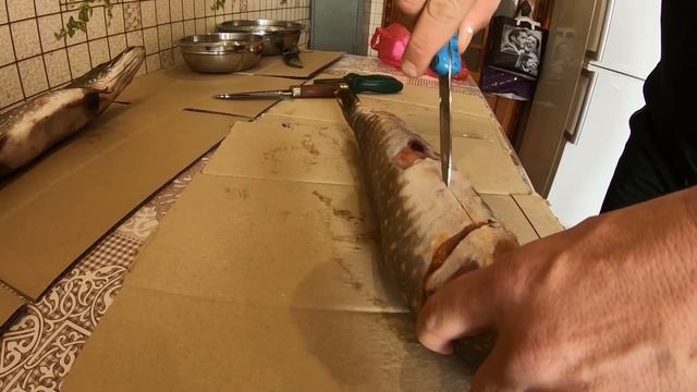 ЛЕГКИЙ СПОСОБ РАЗДЕЛАТЬ ЩУКУ... БЫСТРО И ПРОСТО!!! смотреть онлайн