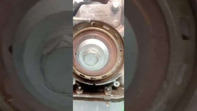 Ford Focus 1.6 Diesel timing belt replacement смотреть онлайн
