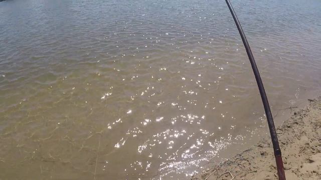 Рыбалка В Астрахани На Воблу, Короткий Отчет смотреть онлайн