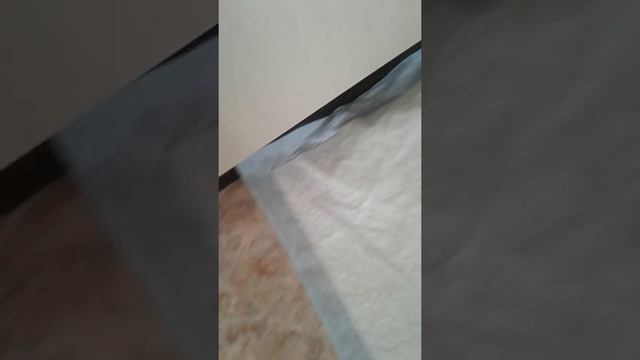 мой котик стал ходить смотреть онлайн
