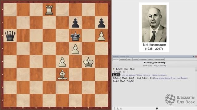 КОГДА СЛОН СИЛЬНЕЕ ФЕРЗЯ! Шахматы смотреть онлайн