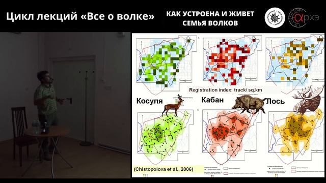 Андрей Поярков и Хосе Антонио Эрнандес-Бланко: Как устроена и живет семья волков