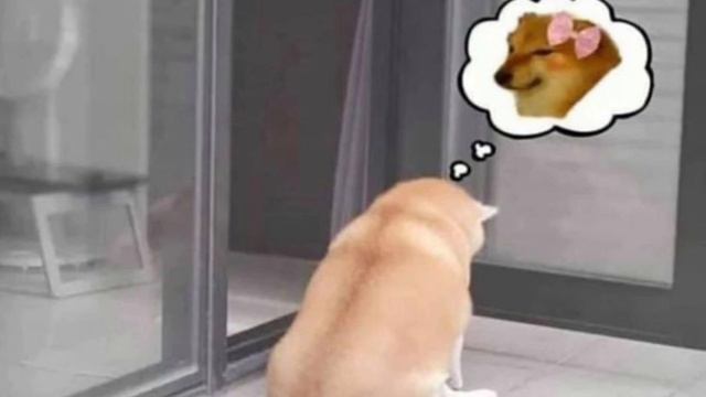 Ayten Alpman-Tek Başına(speed up) смотреть онлайн