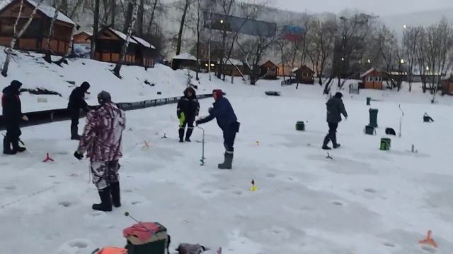 8.01.23 КРХ Белая Дача,запуск форели 79 кг.! смотреть онлайн