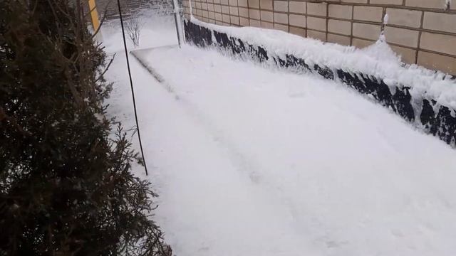 Подснежники в снегу и капуста тоже. смотреть онлайн