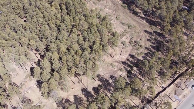 Вырубка леса под строительство краевой детской клинической больницы смотреть онлайн