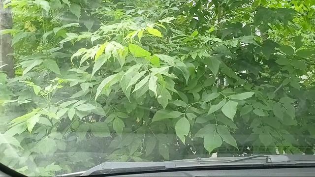 Moto g9 plus - опасный мотороллер !!! смотреть онлайн