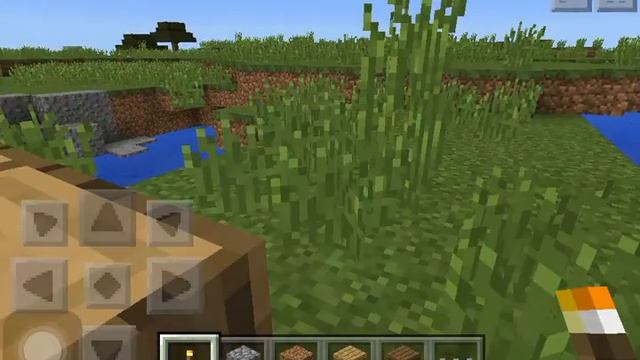 #1 Сиды для Minecraft PE (Болото и Деревня) смотреть онлайн