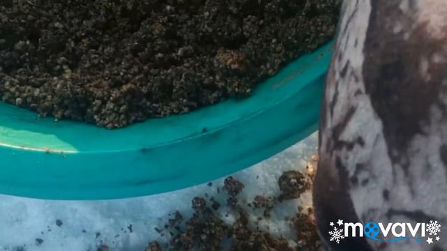 Попытка открыть сезон открытой воды 2020. Не удачная смотреть онлайн