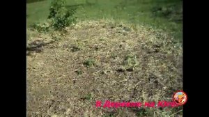 Куриный Трактор s 2. ?Самый простой и лёгкий вариант?