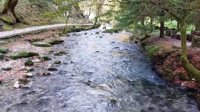 ЖД станция Псырцха Новый Афон Абхазия. смотреть онлайн