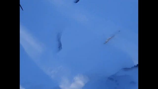 11 01 2022 Проверка капканов,соболь смотреть онлайн