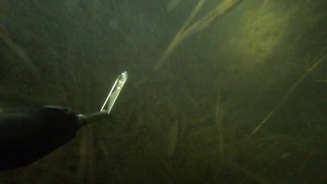 подводная охота, там где зимует сазан, охота с пеленгас варвар 70 смотреть онлайн