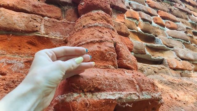 Зона отселения, заброшенная деревня Демьянки, усадьба Герарда Гомельская область смотреть онлайн