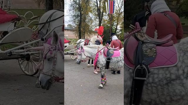 великий Новгород 2020 осень октябрь. смотреть онлайн