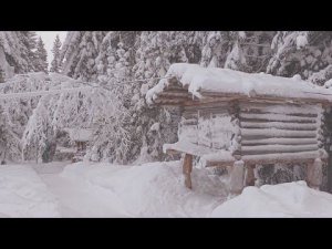 Этнографический музей под открытым небом «Торум Маа» в г. Ханты-Мансийске