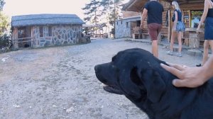 Батуми - места которые нас потрясли в окрестностях . У нас пополнение.