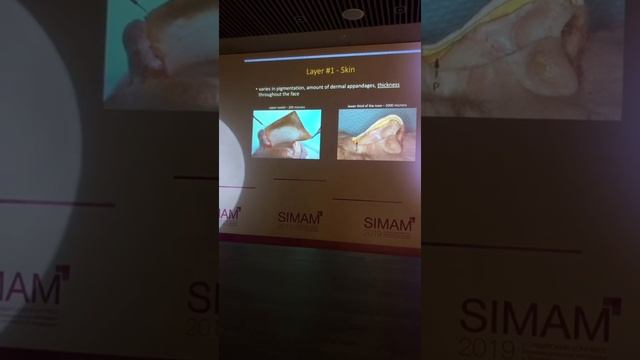 ? ЛУЧШИЙ КАДАВР КУРС ЛИЦО Dr. PETER PALHAZI