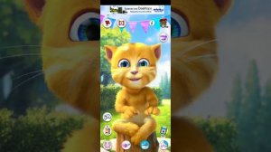 Играем с Джинджером ! Рыжий котенок ! Видео для детей.