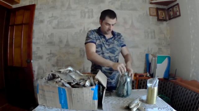 Сохрани рыбу, не дай ей засохнуть!!! ))) смотреть онлайн